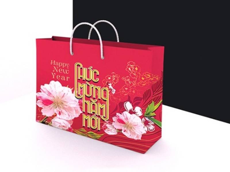 in hộp đựng túi đựng quà Tết